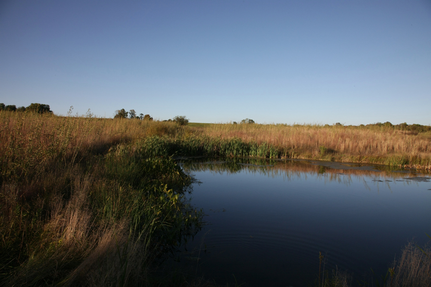 Full Size Image = 1082 K