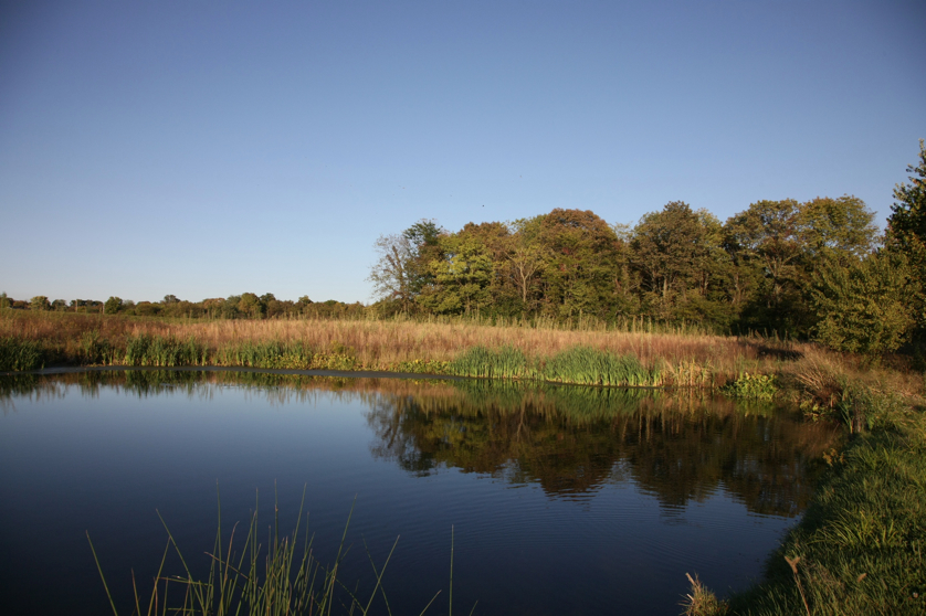 Full Size Image = 1244 K