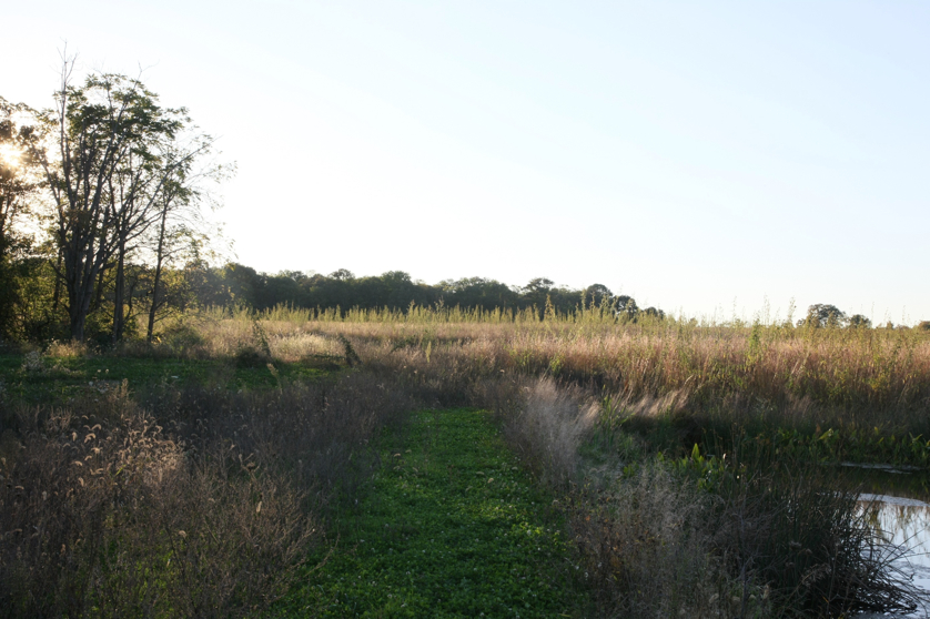 Full Size Image = 1325 K