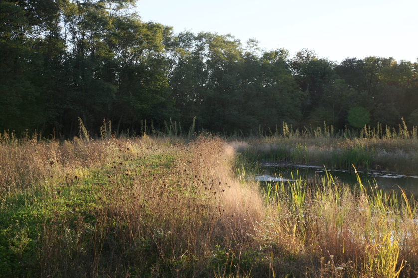 Full Size Image = 1604 K