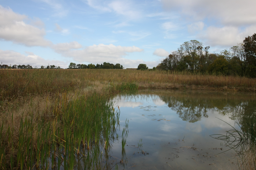 Full Size Image = 1200 K