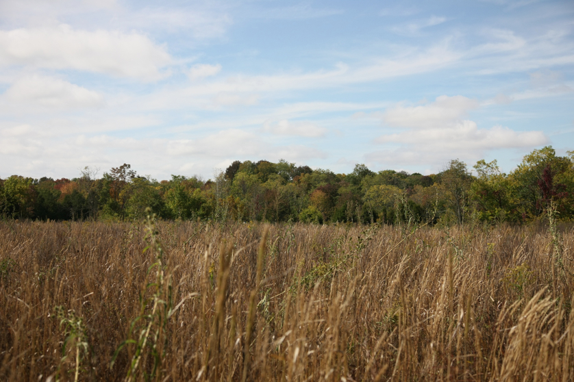 Full Size Image = 1328 K