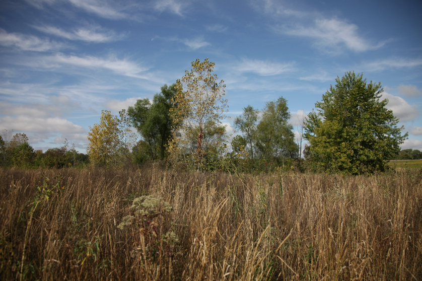 Full Size Image = 1673 K