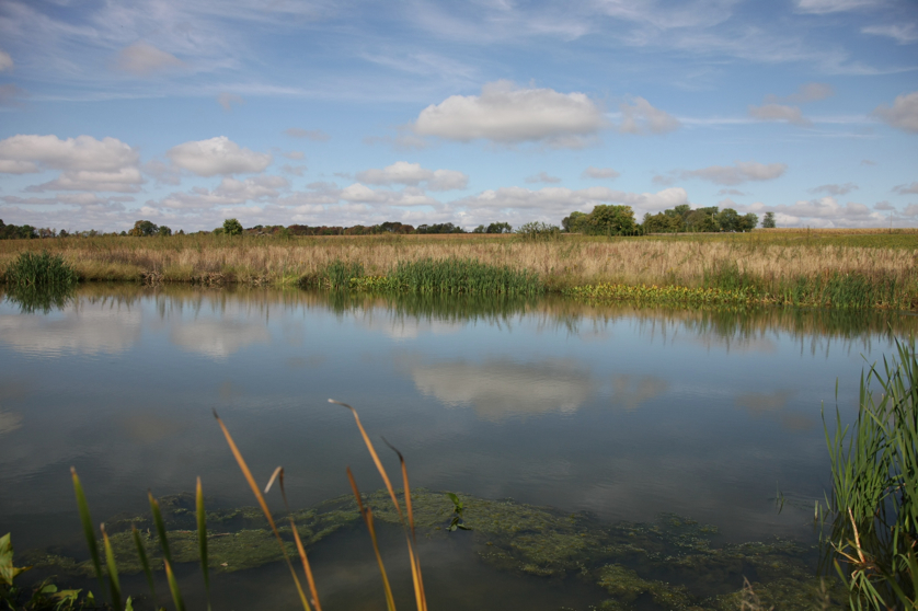 Full Size Image = 933 K