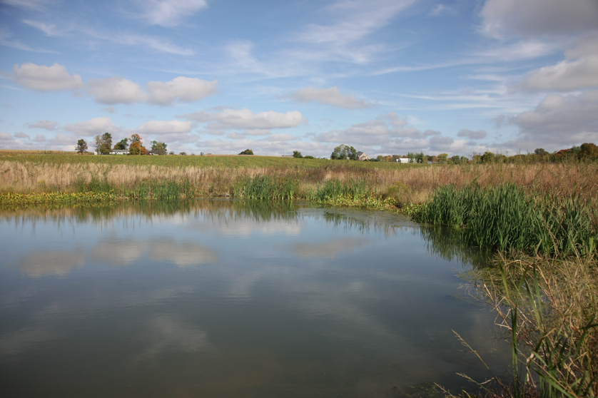 Full Size Image = 1023 K