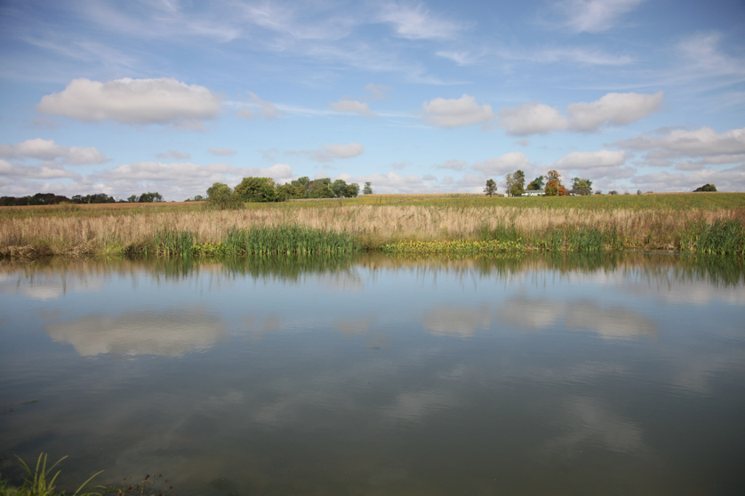 Full Size Image = 890 K