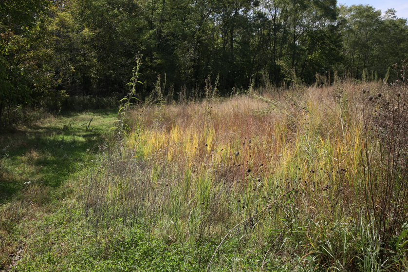 Full Size Image = 2800 K