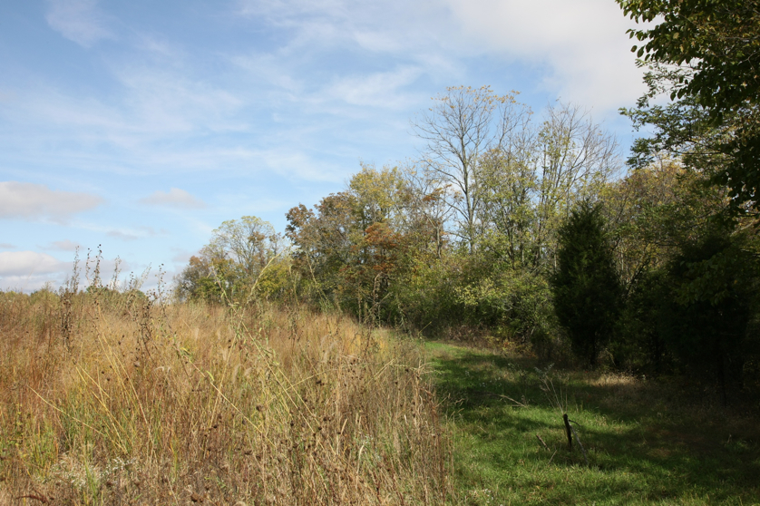 Full Size Image = 1961 K