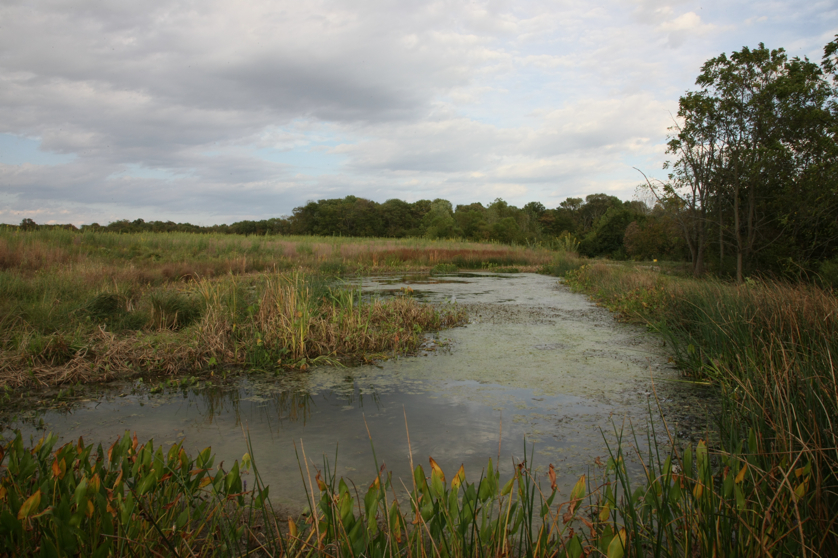 Full Size Image = 4316 K