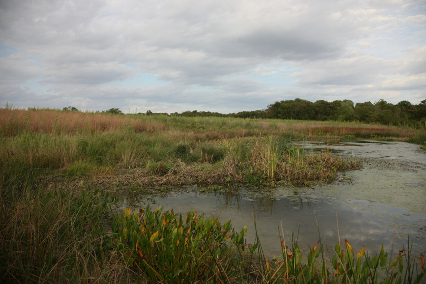 Full Size Image = 4439 K