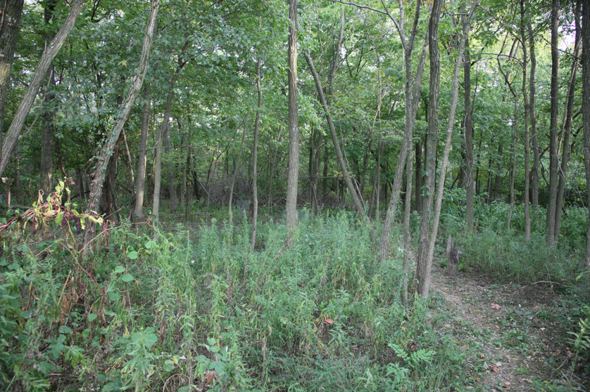 Full Size Image = 7625 K