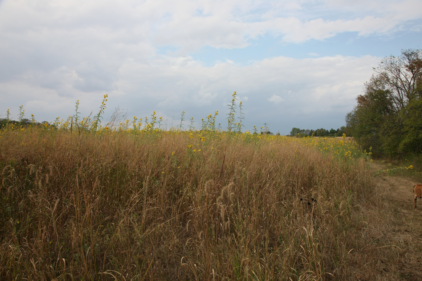 Full Size Image = 15976 K