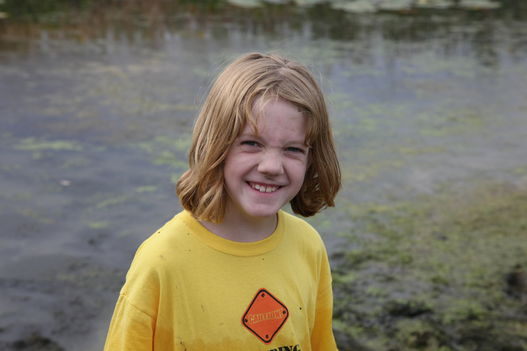 Full Size Image = 10774 K