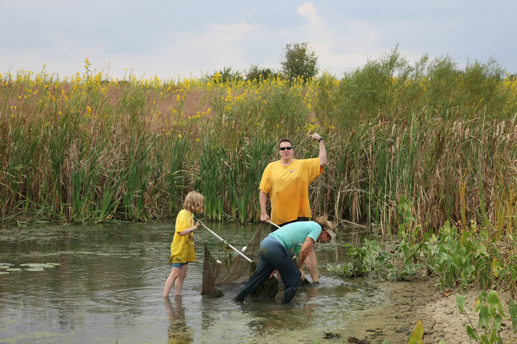 Full Size Image = 17247 K