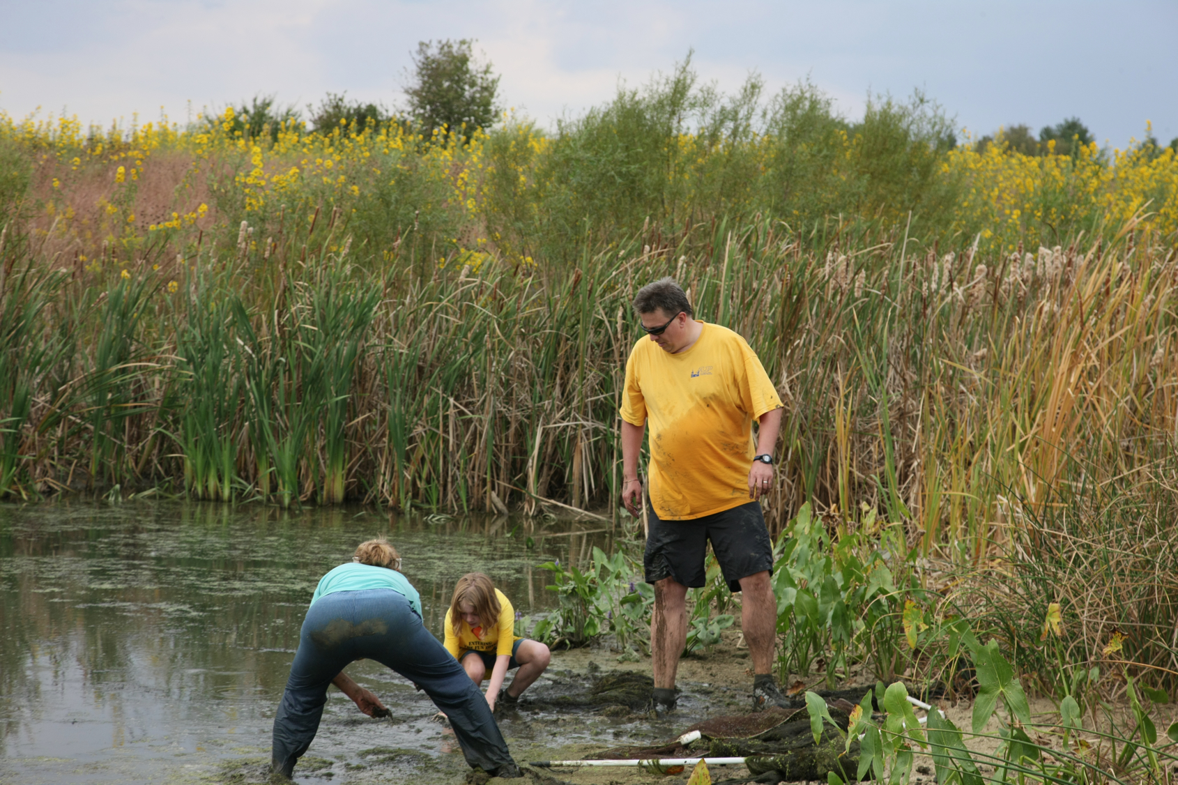 Full Size Image = 14384 K