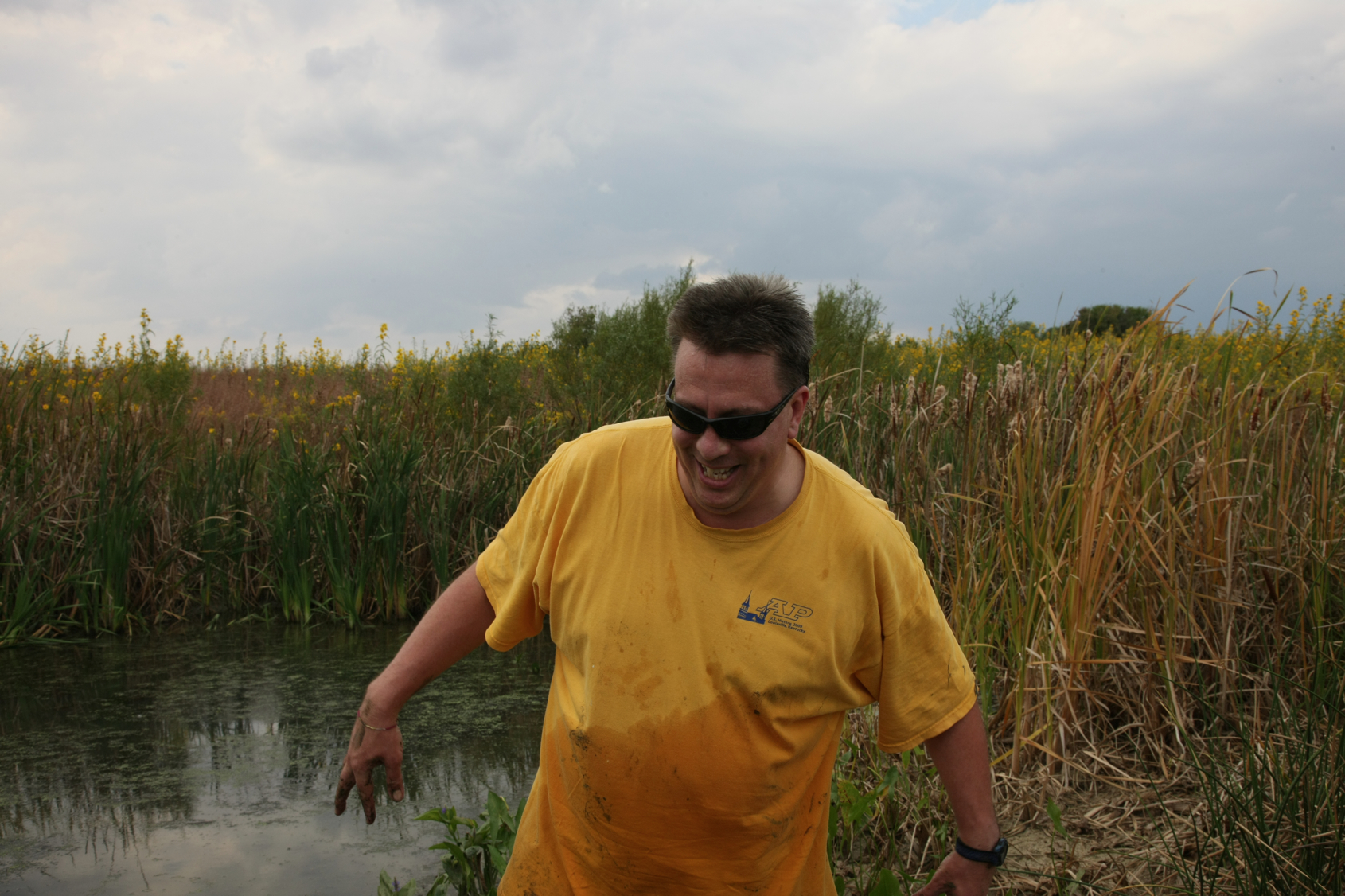 Full Size Image = 11618 K