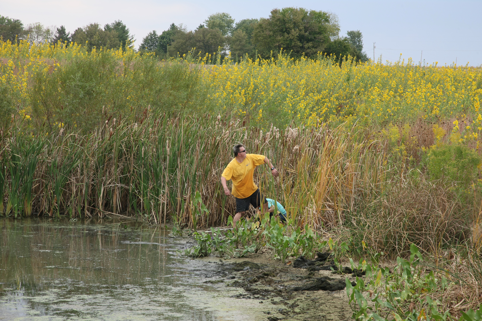 Full Size Image = 20816 K