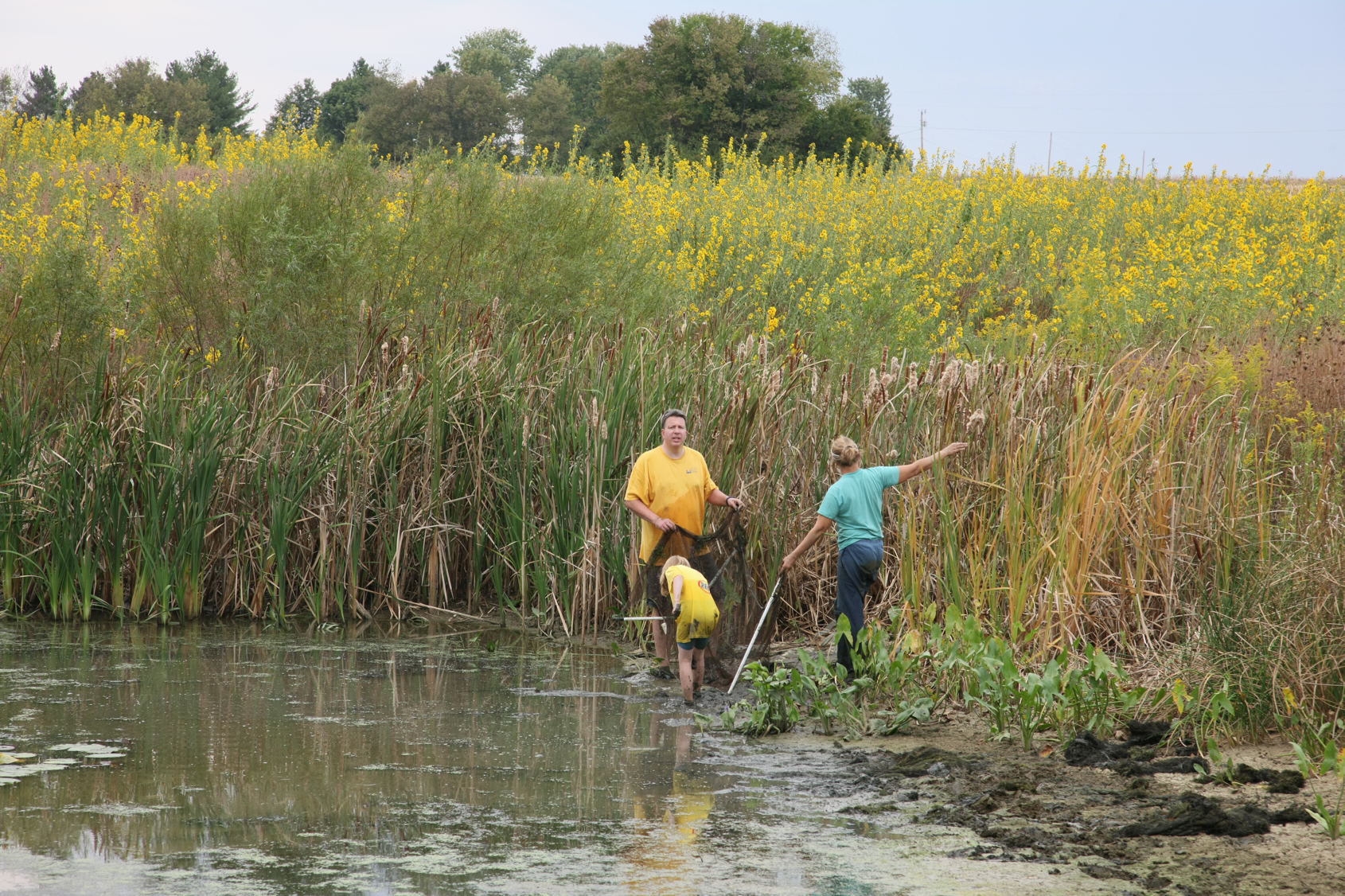 Full Size Image = 20457 K