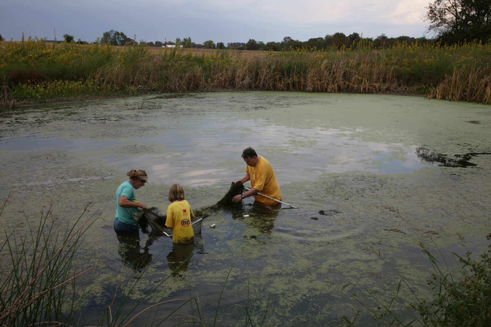 Full Size Image = 14542 K