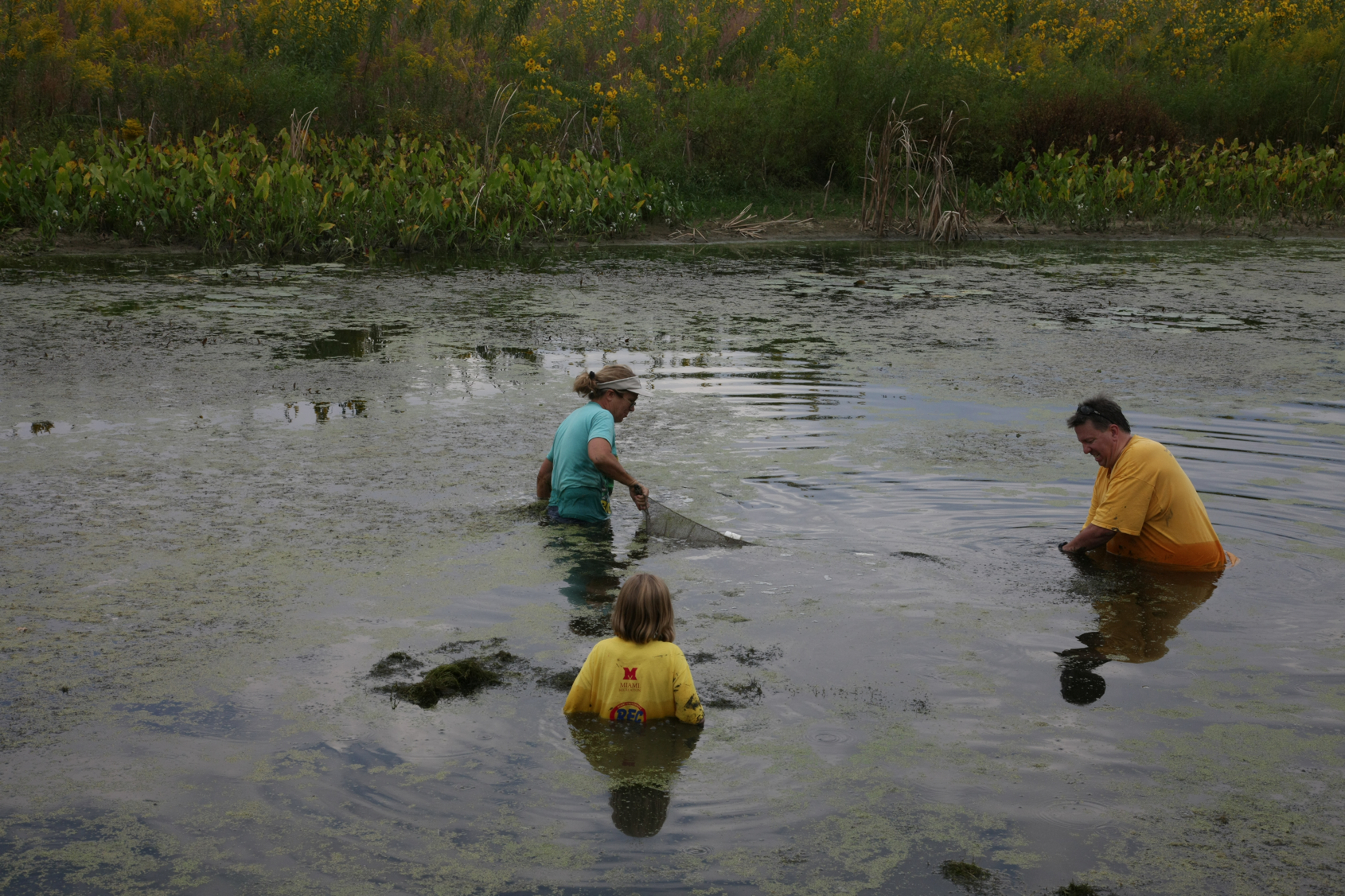 Full Size Image = 15197 K