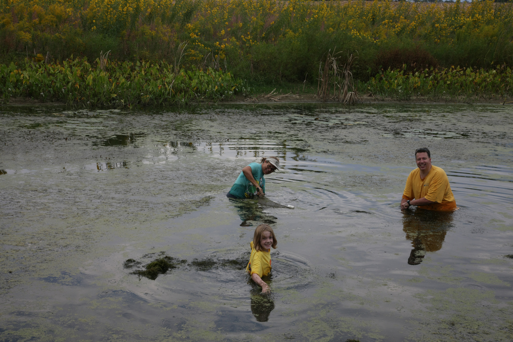 Full Size Image = 15332 K