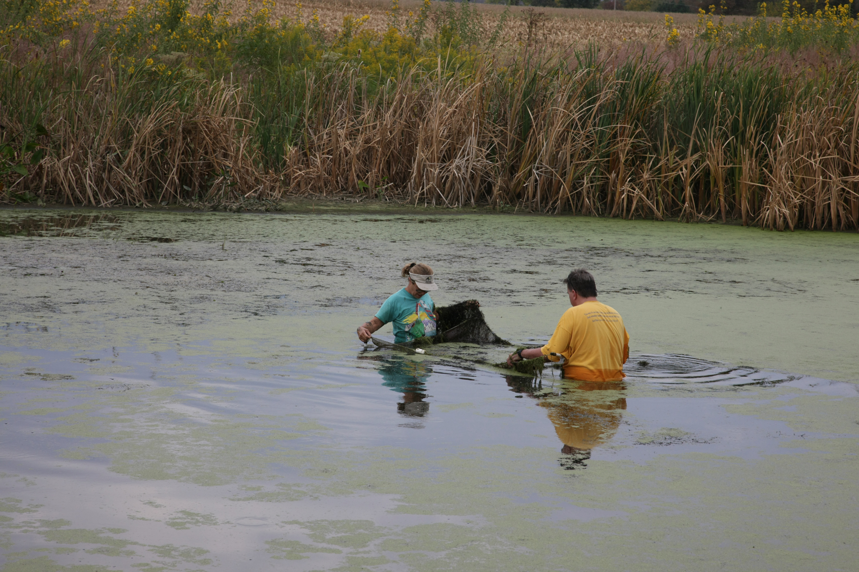 Full Size Image = 15058 K