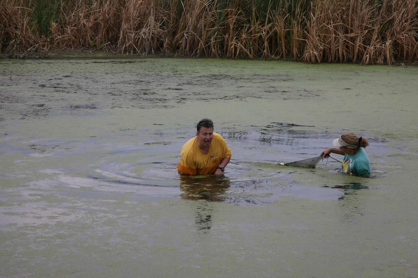 Full Size Image = 13167 K