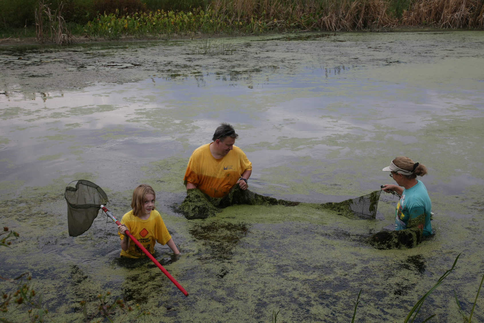 Full Size Image = 15493 K