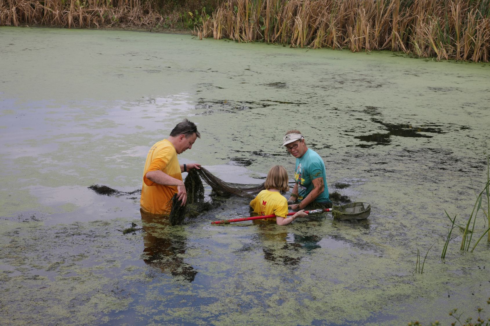 Full Size Image = 16240 K