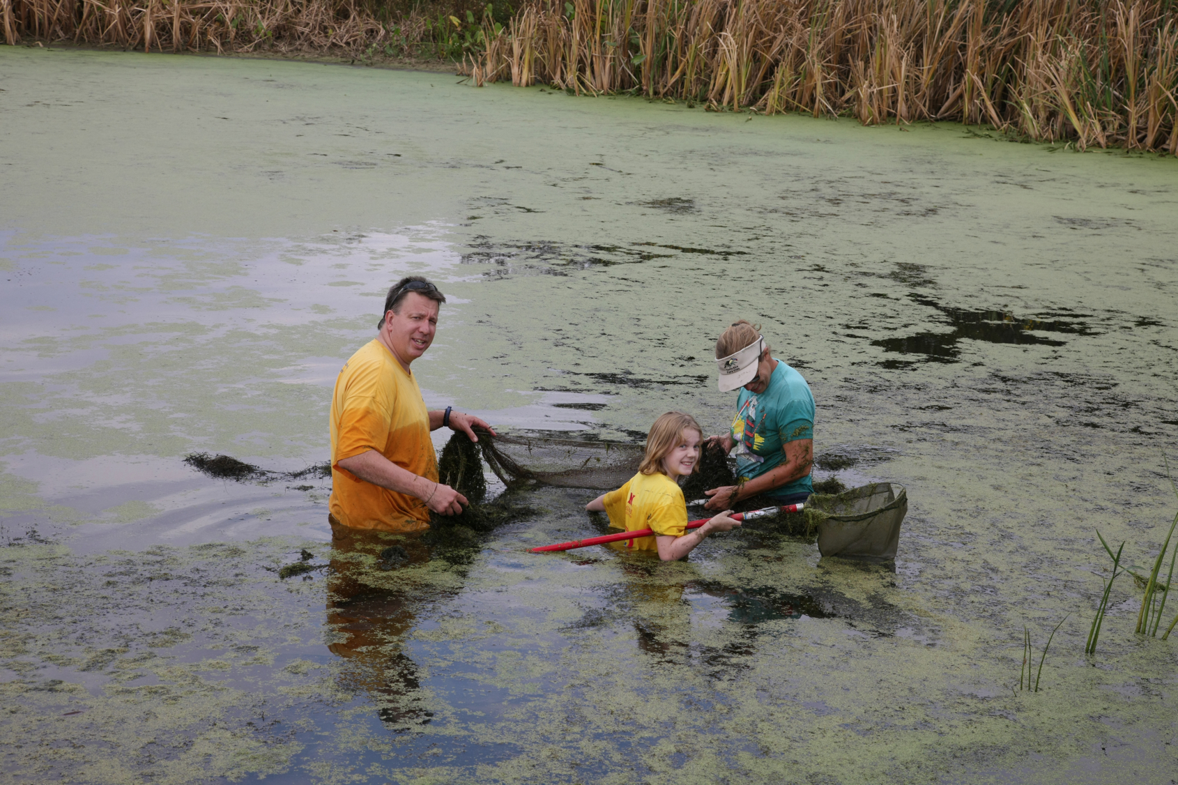 Full Size Image = 15801 K