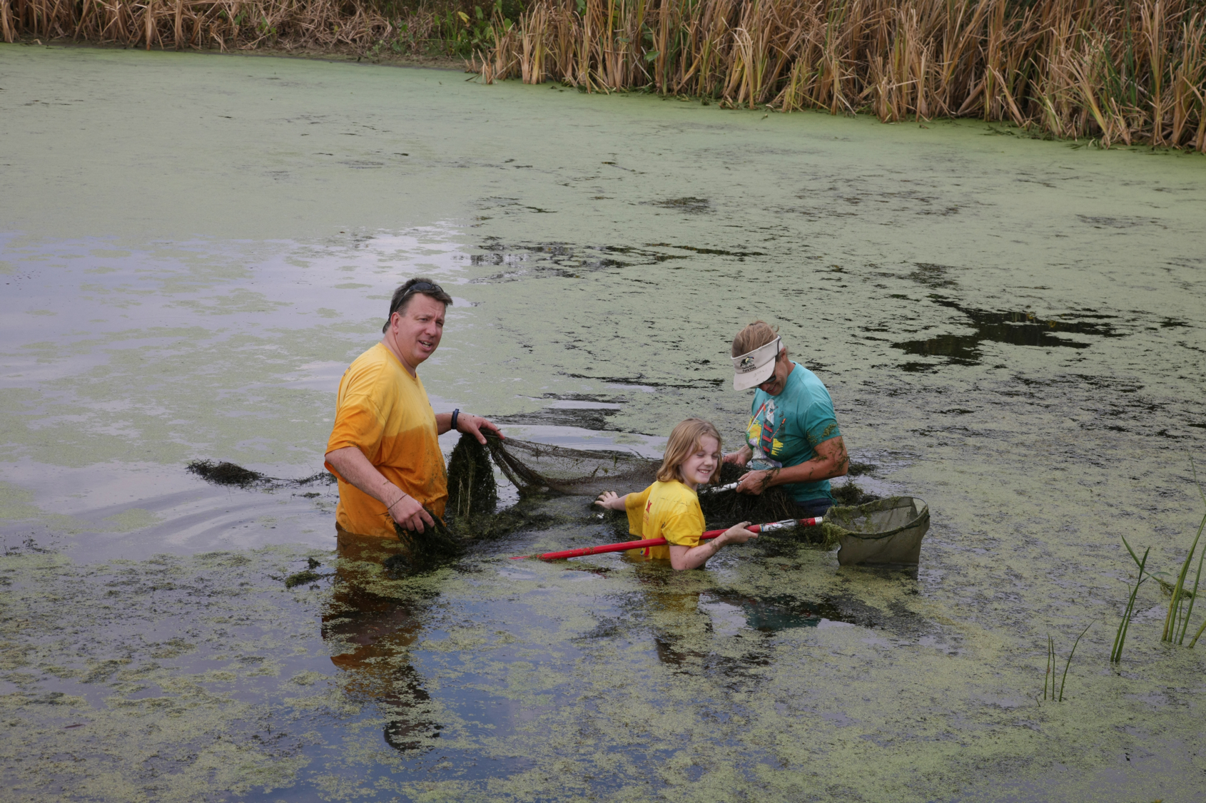 Full Size Image = 15745 K