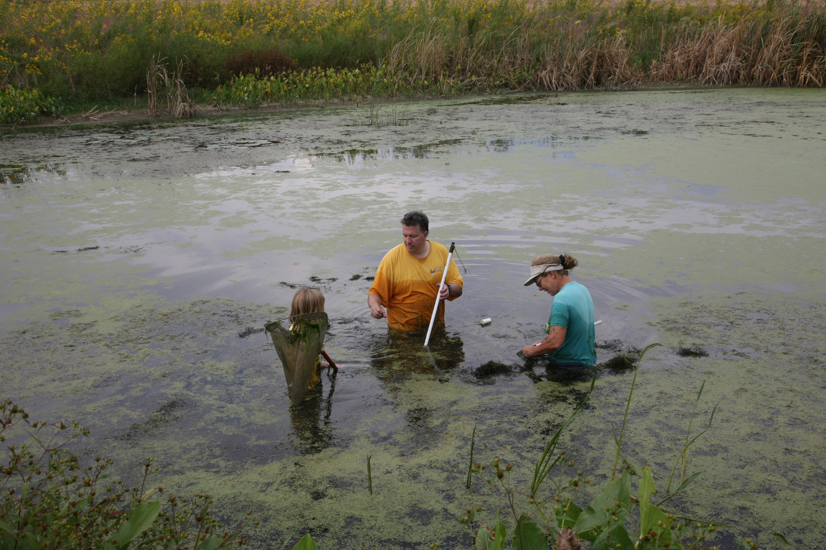 Full Size Image = 16383 K