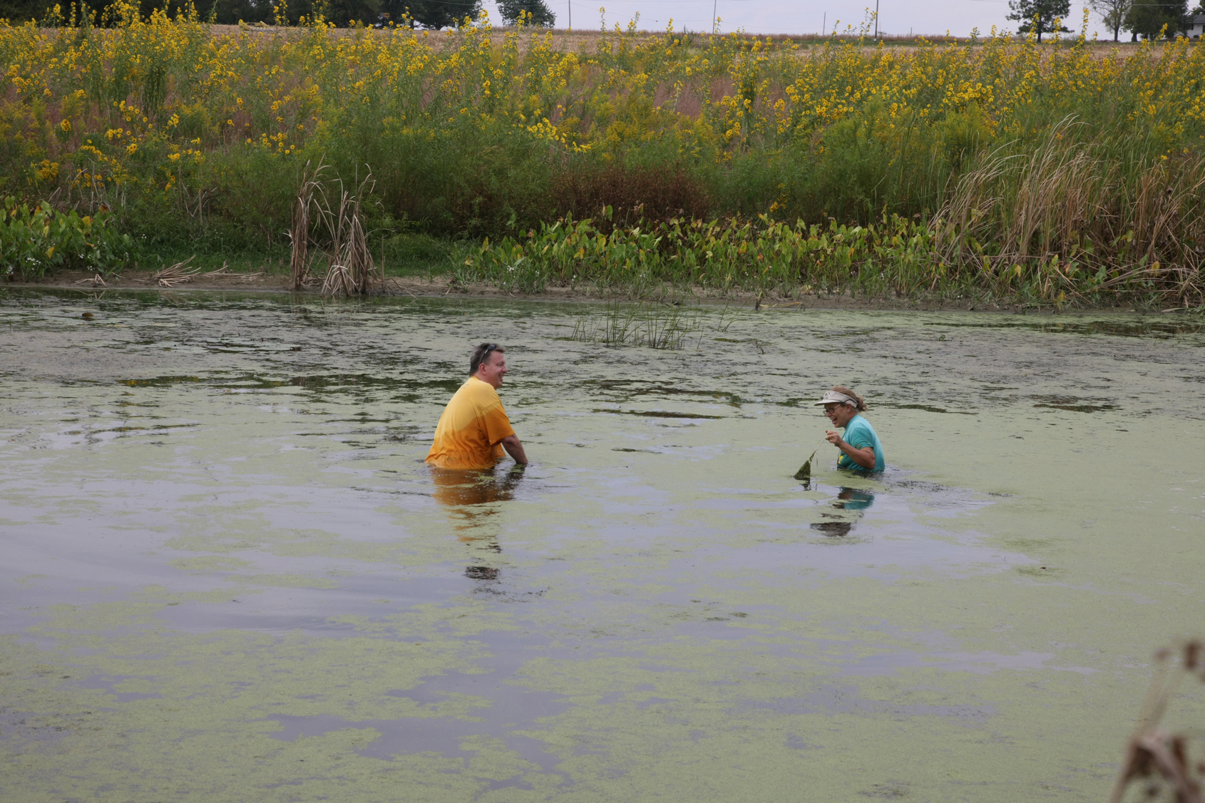 Full Size Image = 16434 K