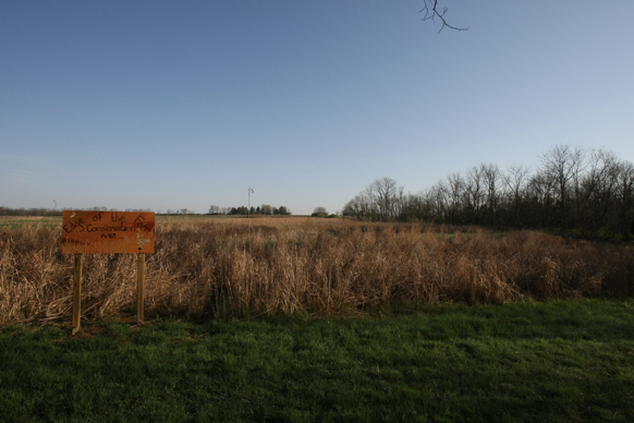 Full Size Image = 1967 K