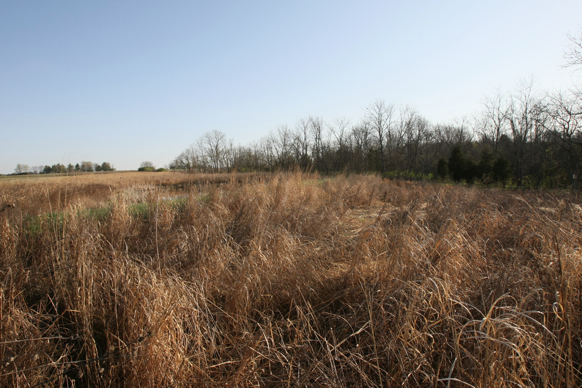 Full Size Image = 2744 K