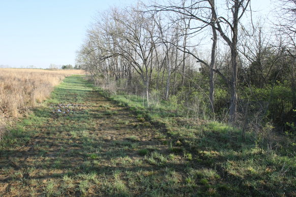 Full Size Image = 3606 K