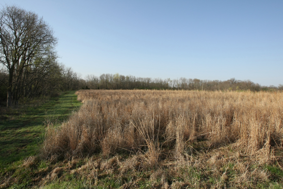 Full Size Image = 2657 K