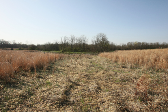 Full Size Image = 2663 K