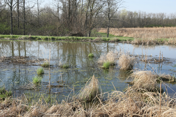 Full Size Image = 3481 K