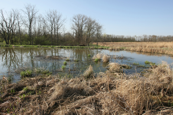 Full Size Image = 3258 K