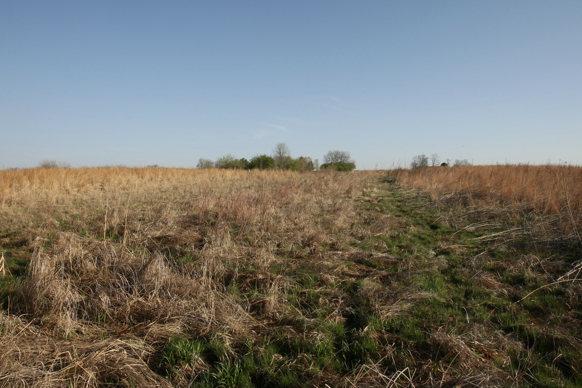 Full Size Image = 2474 K