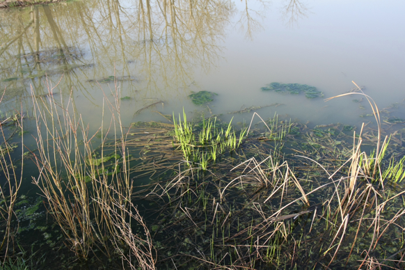 Full Size Image = 2682 K