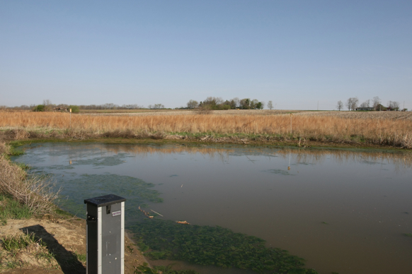 Full Size Image = 1685 K