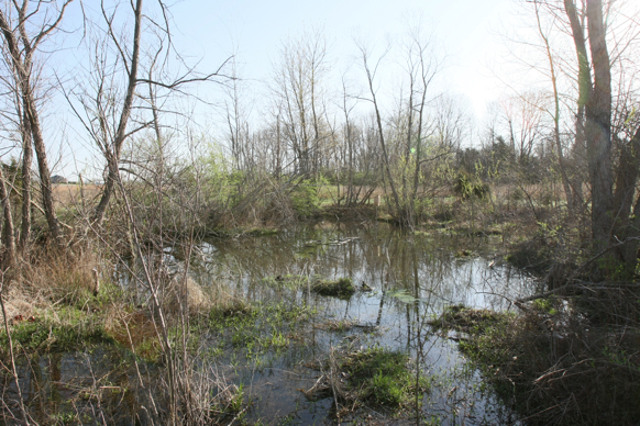 Full Size Image = 3580 K