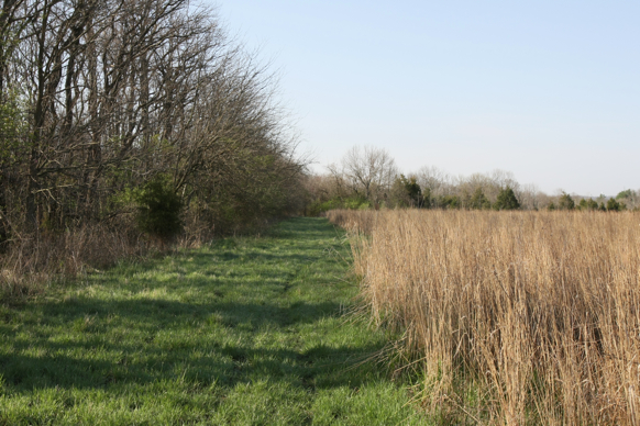 Full Size Image = 2840 K