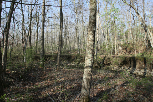 Full Size Image = 3801 K