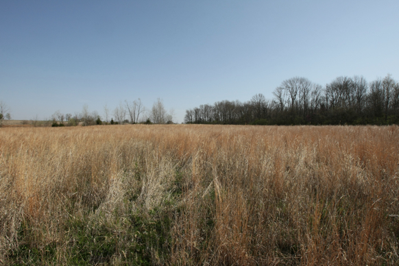 Full Size Image = 2497 K