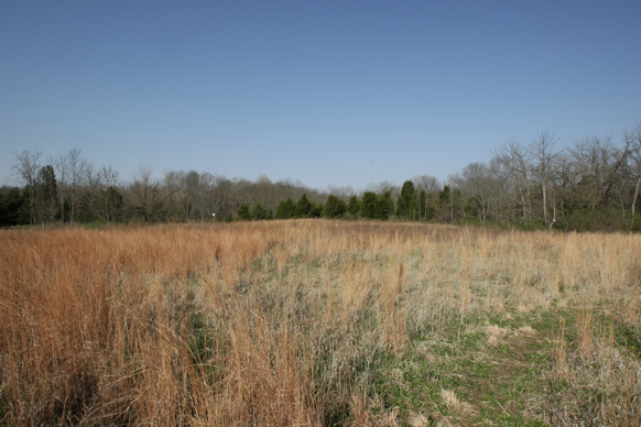 Full Size Image = 2483 K