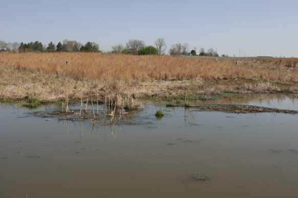 Full Size Image = 1779 K