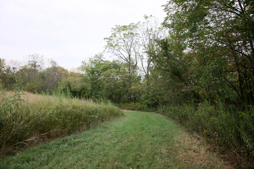 Full Size Image = 6328 K